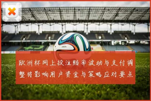 欧洲杯网上投注赔率波动与支付调整将影响用户资金与策略应对要点