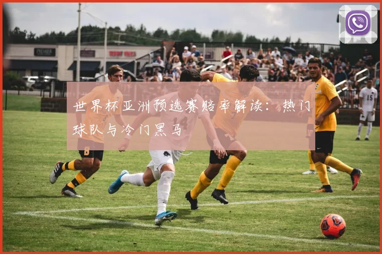 世界杯亚洲预选赛赔率解读:热门球队与冷门黑马