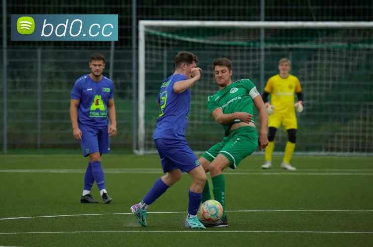 c7网页版 - c7(中国)平台生态图